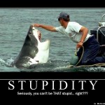 stupidity