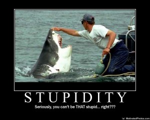 stupidity