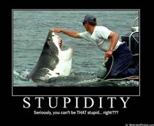 dumb shark person